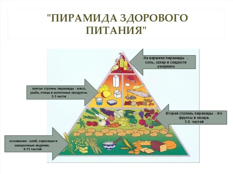 Питание уровень организации