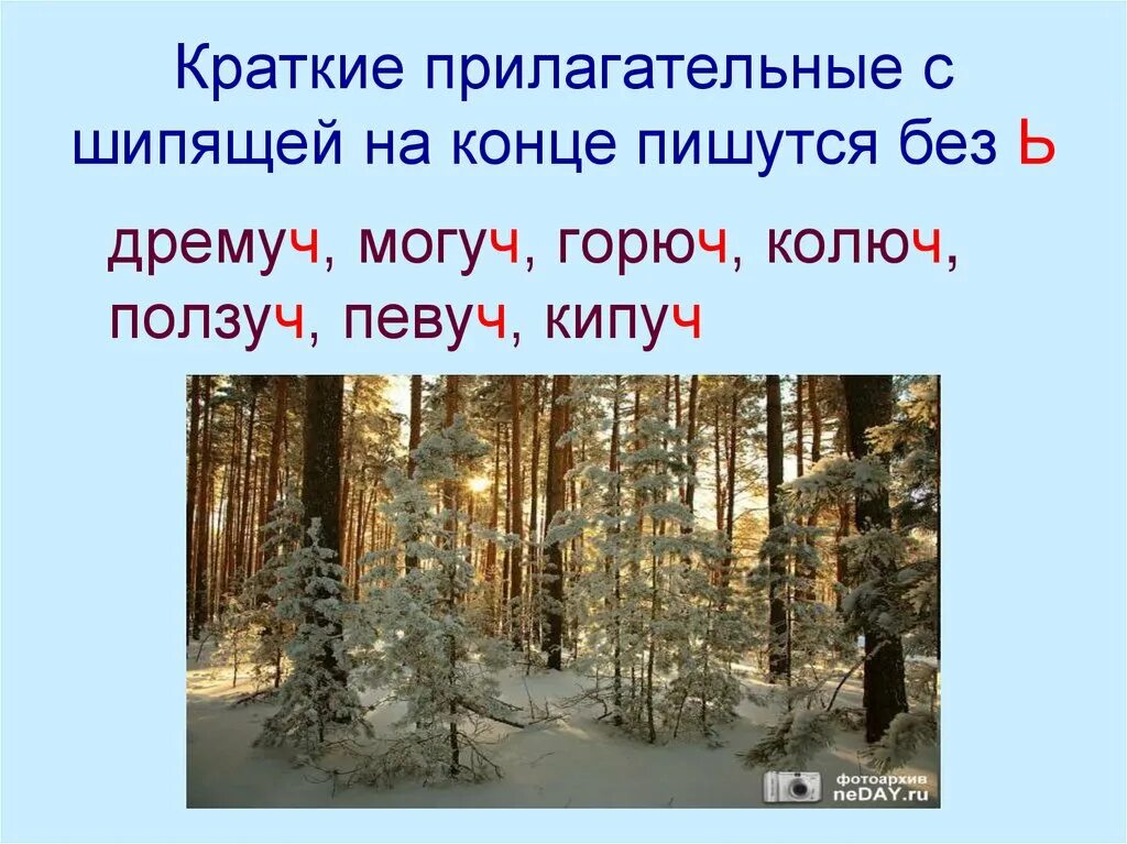 Могуч краткое прилагательное. Краткие прилагательные с шипящими на конце. Правило кратких прилагательных с шипящей на конце. Правописание кратких прилагательных с основой на шипящую. Краткое прилагательное с шипящими на конце.