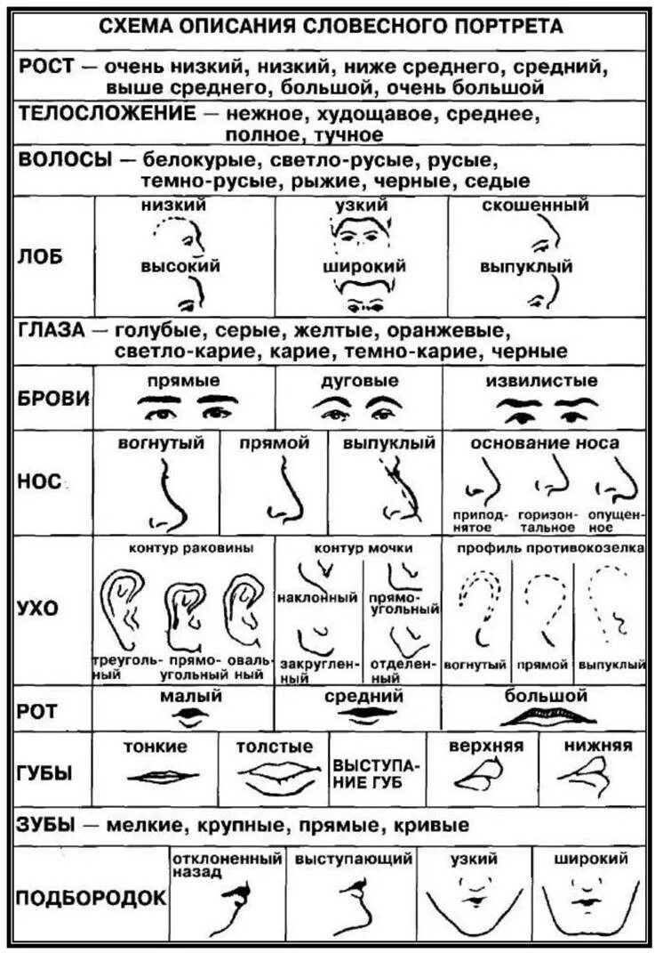 Правила метода словесного портрета