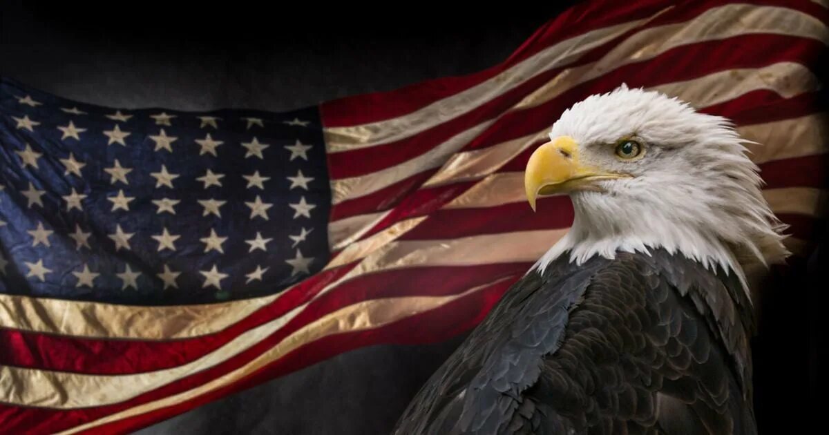 1970 год символ сша. Символ Америки белоголовый Орлан. Белоголовый Орел США. Белоголовый Орлан на флаге США. Орел символ Америки.