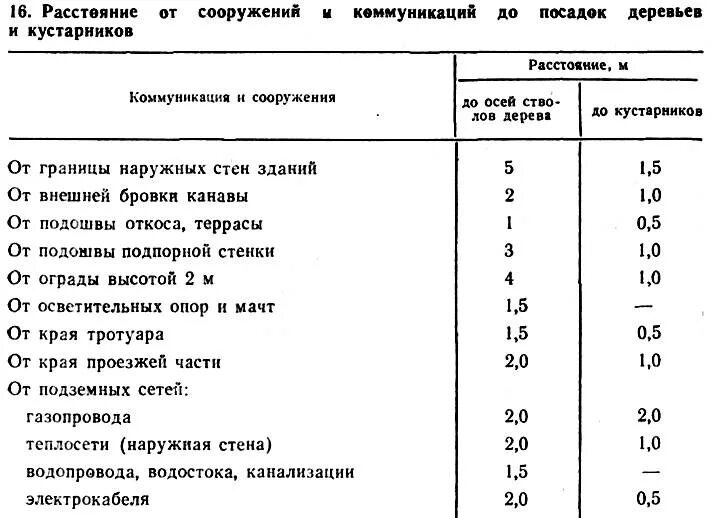 На каком расстоянии можно садить. Нормы посадки деревьев от коммуникаций. Расстояние от деревьев до коммуникаций. Нормы посадки деревьев СНИП. Нормы посадки деревьев от газопровода.