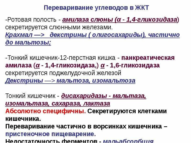 Переваривание углеводов. Особенности переваривания углеводов. Этапы переваривания углеводов. Этапы переваривания углеводов в желудочно-кишечном тракте.