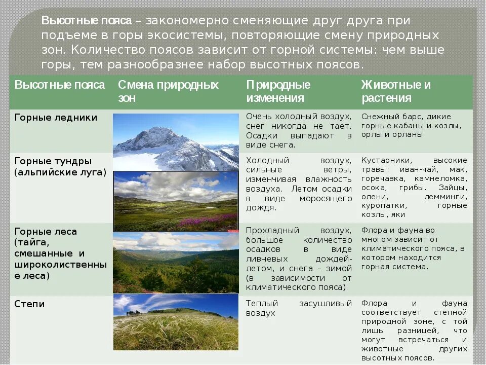 На равнинах число видов животных