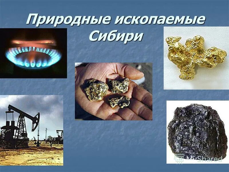 Собственник полезных ископаемых. Собственник полезных ископаемых