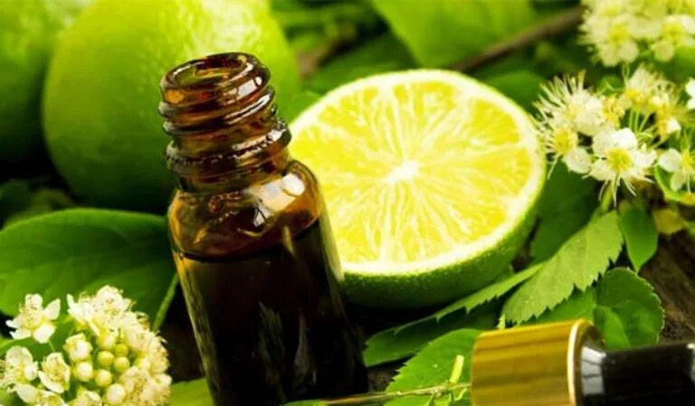 Spearmint essential oil. эфирные масла для профилактики. ароматерапия. эфирное масло лимона. эфирное масло мяты перечной.
