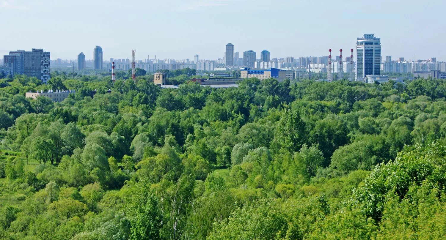 Сходненская. Южное Тушино Москва. Сходненский лесопарк. ЖК Южное Тушино. Панорама Тушино.