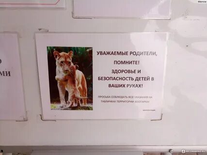 Билеты в зоопарк казань