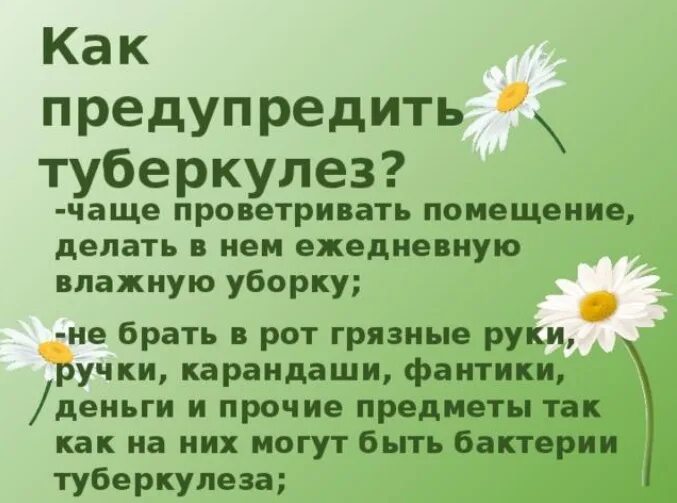 День борьбы с туберкулезом. Ромашка день борьбы с туберкулезом. Всемирный день борьбы с туберкулезом. Мероприятие ко дню туберкулеза