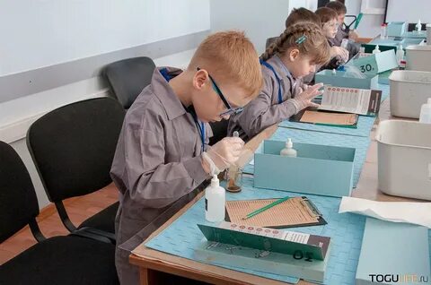 Требуются школьники на работу