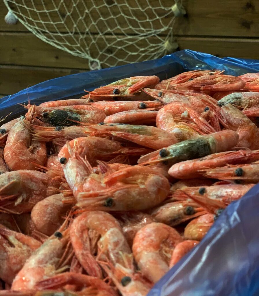 рыба тут мурманск