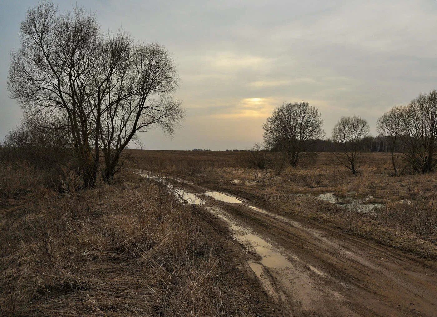 «О Красном вечере задумалась дорога» Есенина. Пасмурный день в деревне. Пасмурная осень. Поздняя осень дорога в деревне. Осень дорога в деревне