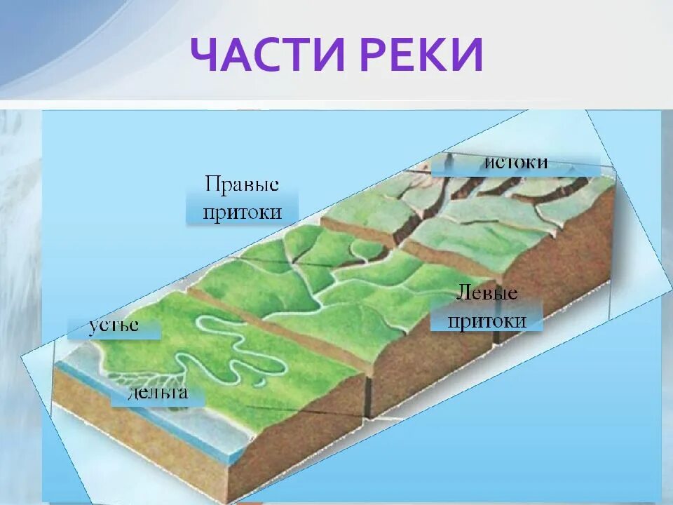 Схема части реки 2 класс окружающий мир. Части реки схема. Река части реки. Название частей реки. Верхняя часть реки