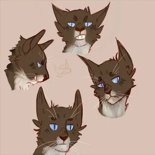 Коты воители путь воителя