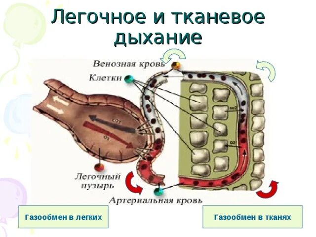Изображение не требует описания