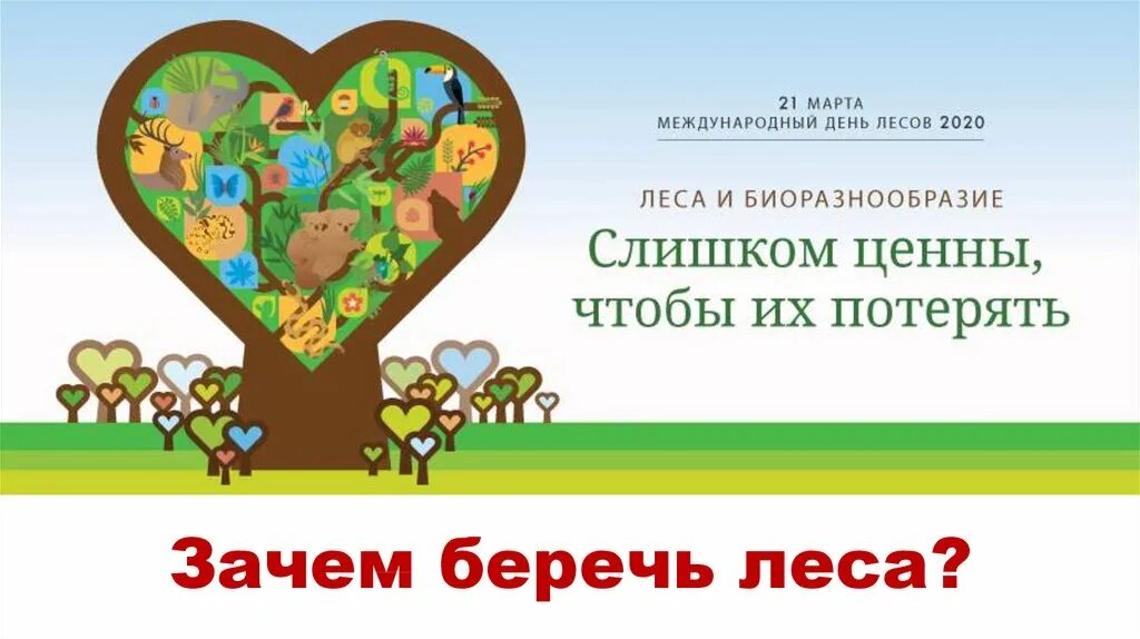 Всемирный день леса 2024. Всемирный день леса 2024. Международный день лесов. Всемирный день леса. Международный день леса.