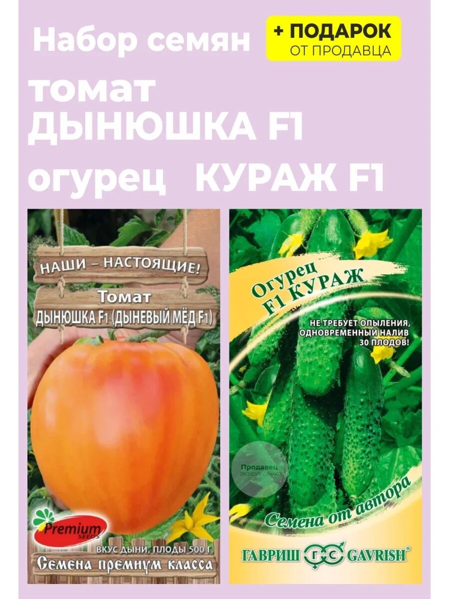 Сорт помидор дынюшка. Томат дынюшка характеристика. Дынюшка помидоры описание сорта. Дынюшка томат описание. Томат дынюшка f1 премиум сидс.