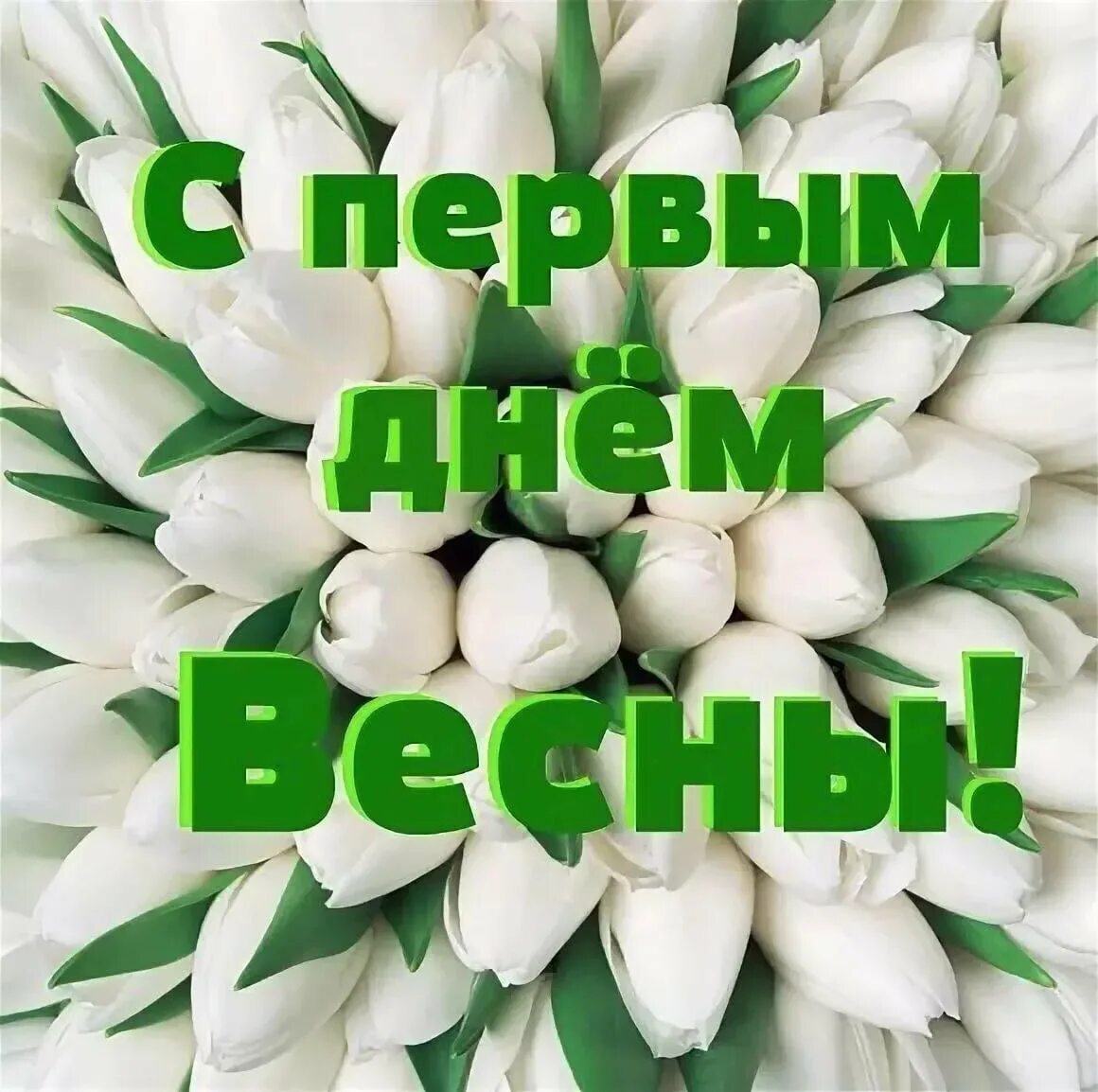 Поздравление с первым днем весны. С первым днем весны любимый. Поздравление с первым днем весны в картинках. Поздравления с весной в картинках. С первым днем весны.