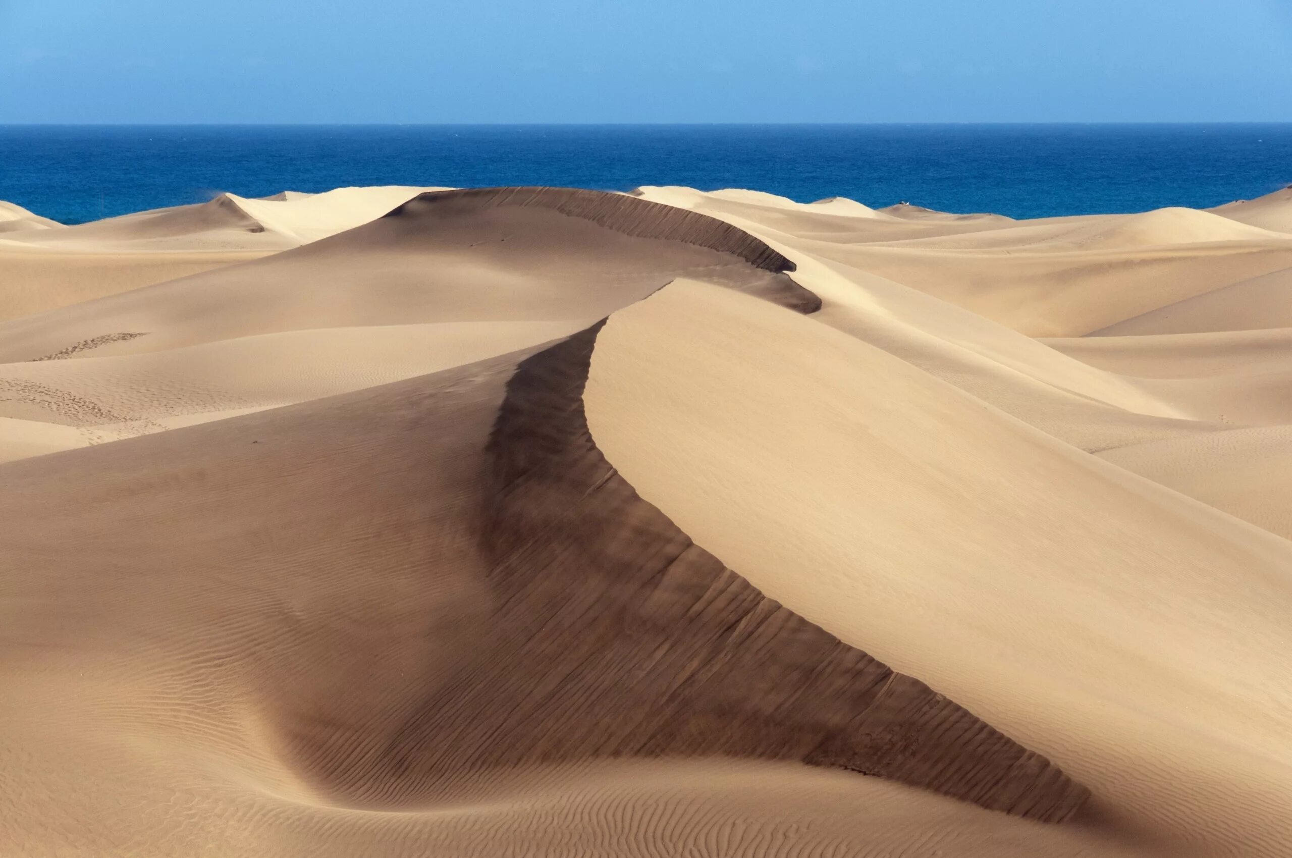 Гран Канария пустыня. Пустыня Барханы Оазис. Сокотра Барханы. Сокотра песчаные холмы.