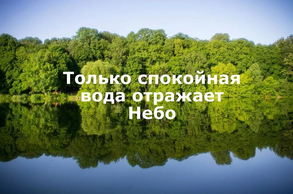 Стала спокойнее вода. Только в спокойной воде отражается небо. Цитаты про природу. Высказывания о природе. Афоризмы про спокойствие.