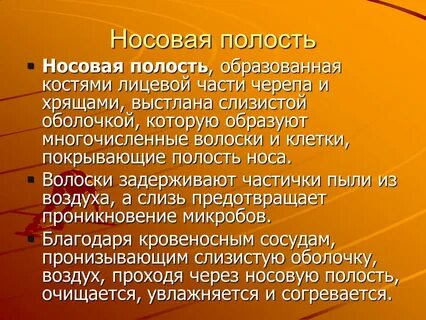 Культурная жизнь личности