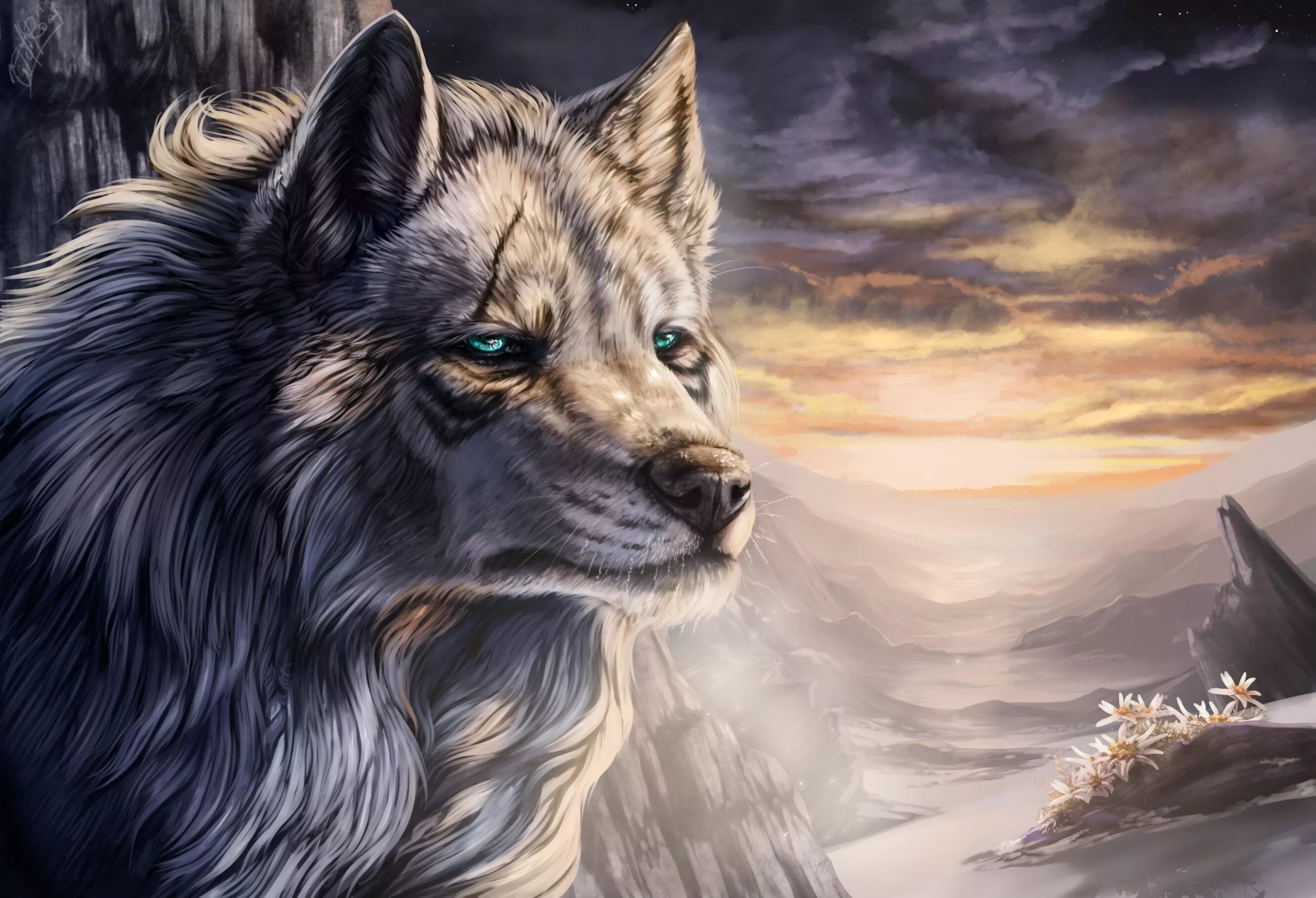 He wolf. He wolf