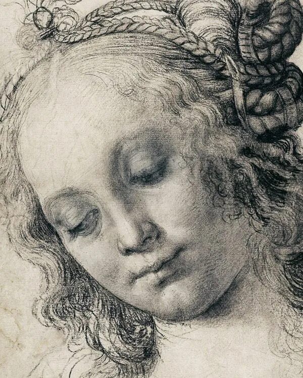 Рисунки эпохи возрождения. Боттичелли картины. Гризайль Леонардо да Винчи. Андреа дель Верроккьо портрет.