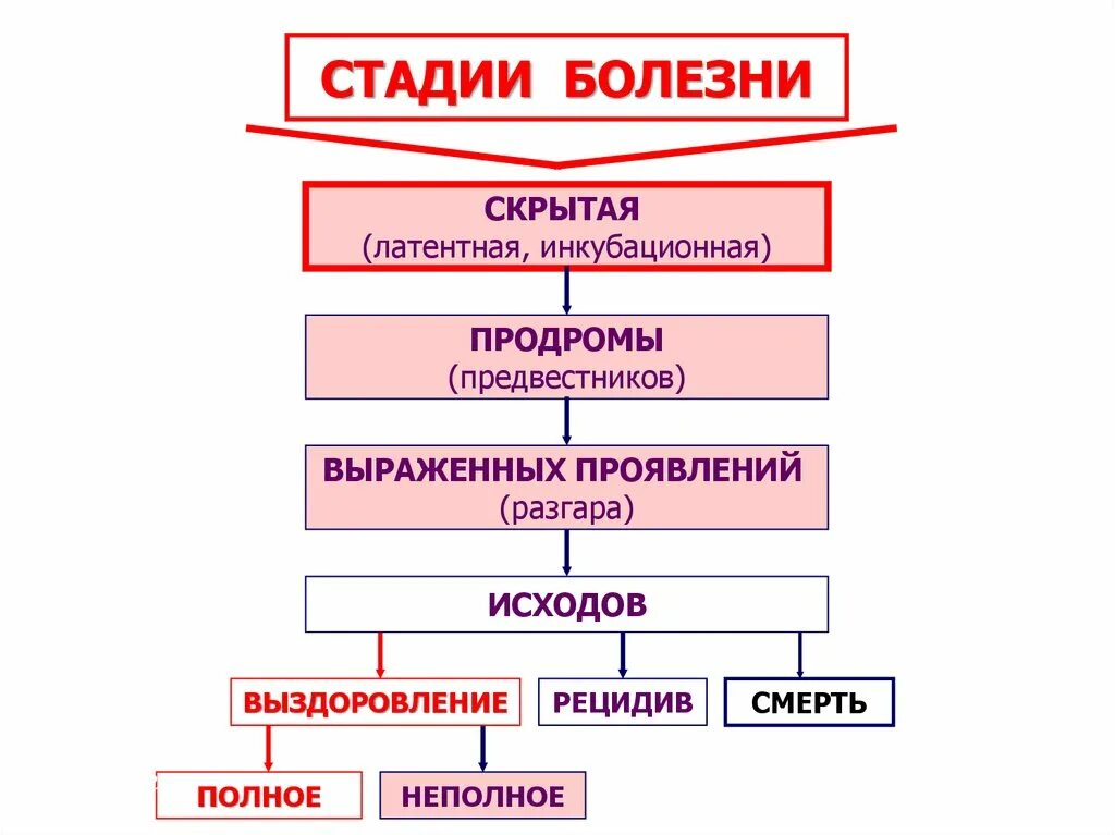 Этапы развития заболевания. Стадии и исходы заболеваний патофизиология. Стадии болезни патофизиология. Основные этапы болезни.