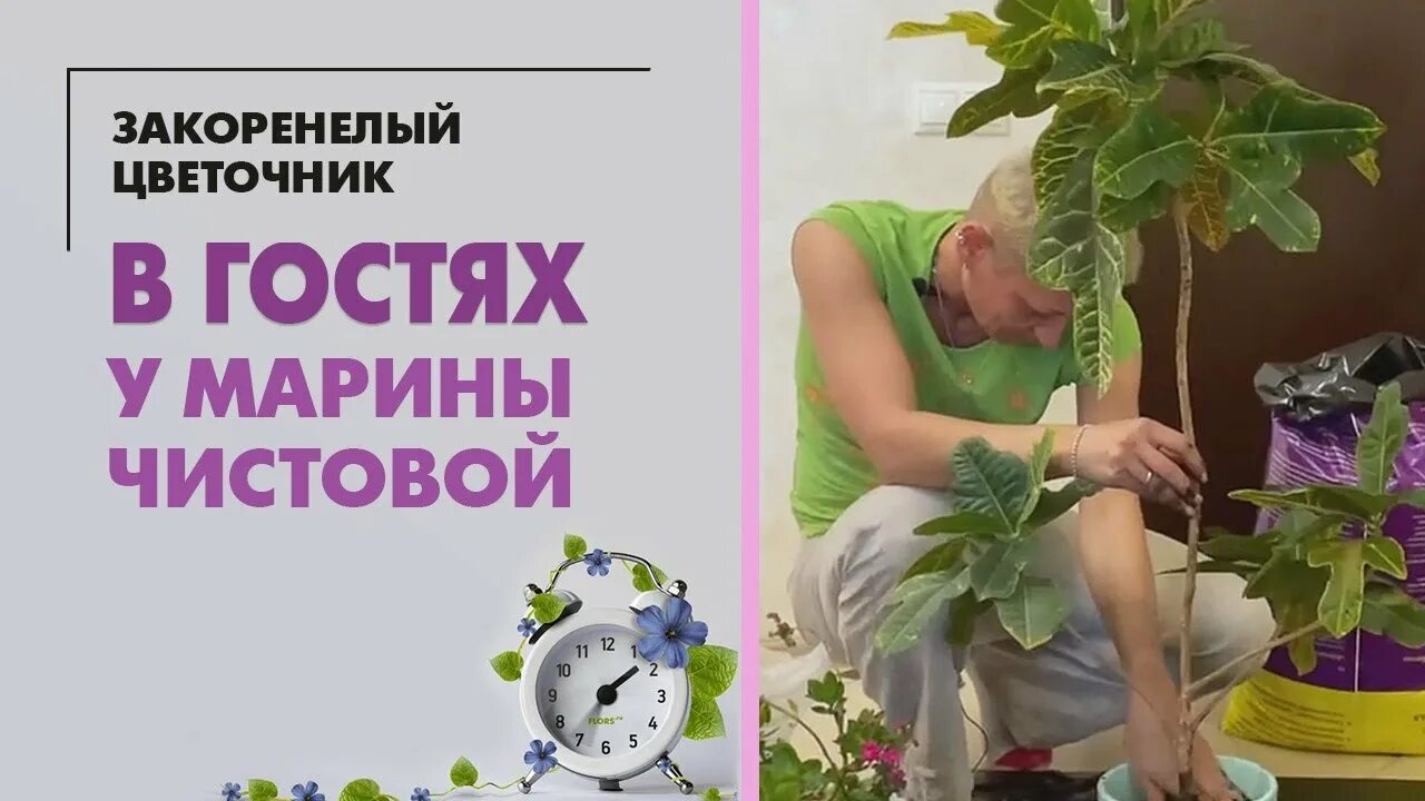 Закоренелый цветочник в гостях