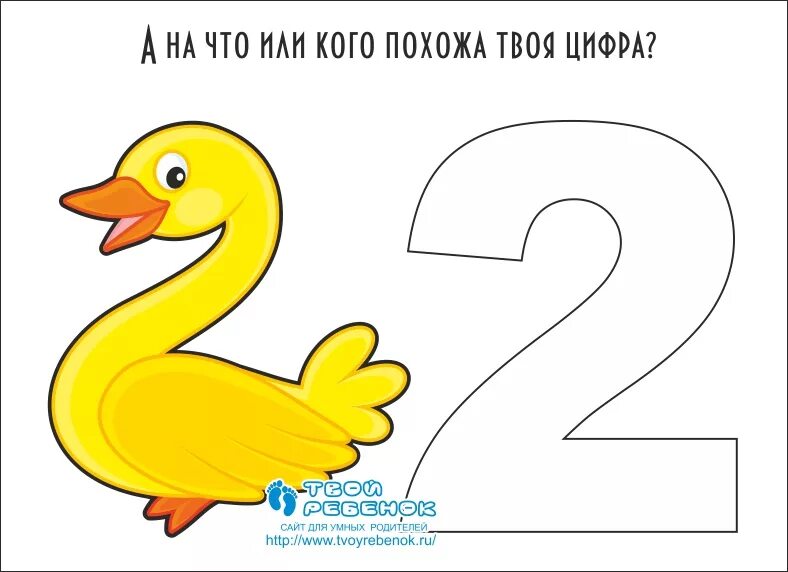 Рассматривает цифра 2. На что похожи цифры. На что похожа цифра 2. Цифры в виде предметов. Предметы похожие на цифру 2.