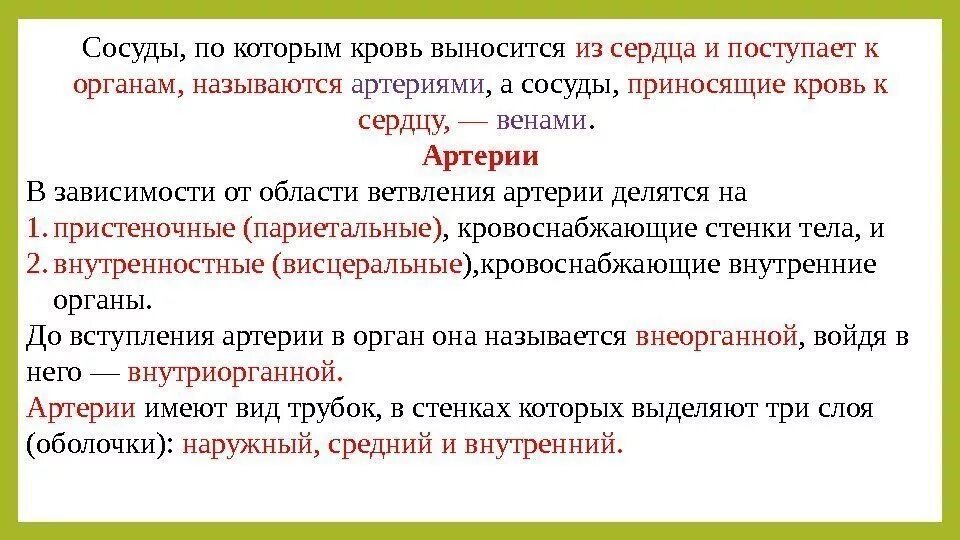 Несет кровь к предсердию. Сосуды которые несут кровь от сердца к органам называются. Приносящие и ВЫНОСЯЩИЕ сосуды сердца. Сосуды ВЫНОСЯЩИЕ кровь из сердца называются.