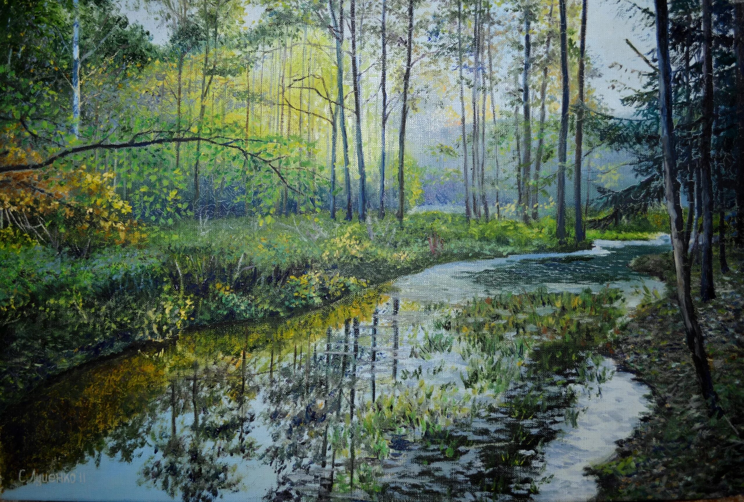 Ручей маслом. Фергюсон горная речка картина. Канадский художник andrew kiss. Ручей в живописи. Картина рычкова лесной ручей.