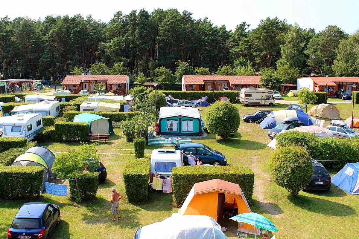 Camping photo. Автокемпинг кемпинг туризм в России. Автокемпинг в Европе. Автокемпинг можжевеловая роща. Площадки для кемпинга в России.