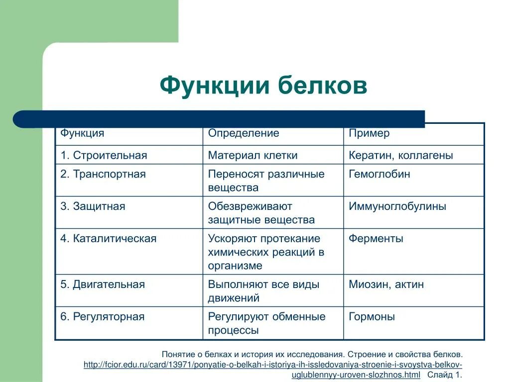 Белок выполняющий строительную функцию