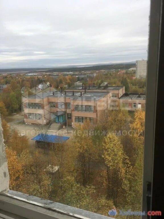 Ягельный бор оленегорск. Ул советская оленегорск. Авито олене. Авито олене. Авито оленегорск.