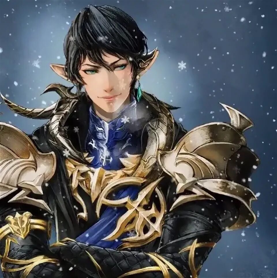 Aymeric jett montaz. Аймерик де борель. Albert aymeric. Final fantasy xiv aymeric. Aymeric heavensward.