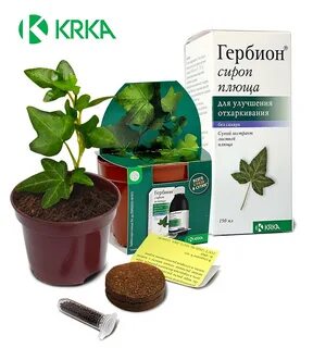 Плющ от кашля гербион