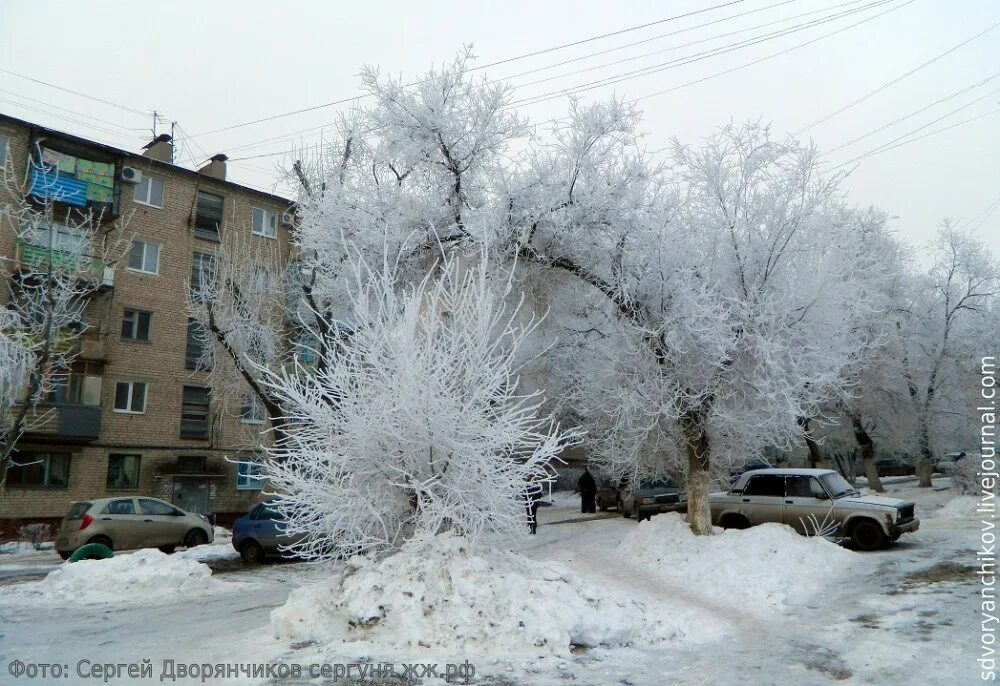 Широкий двор был покрыт сияющим белым. Иней на деревьях в городе. иней в городе. деревья зимой в городе. деревья во дворе зимой.