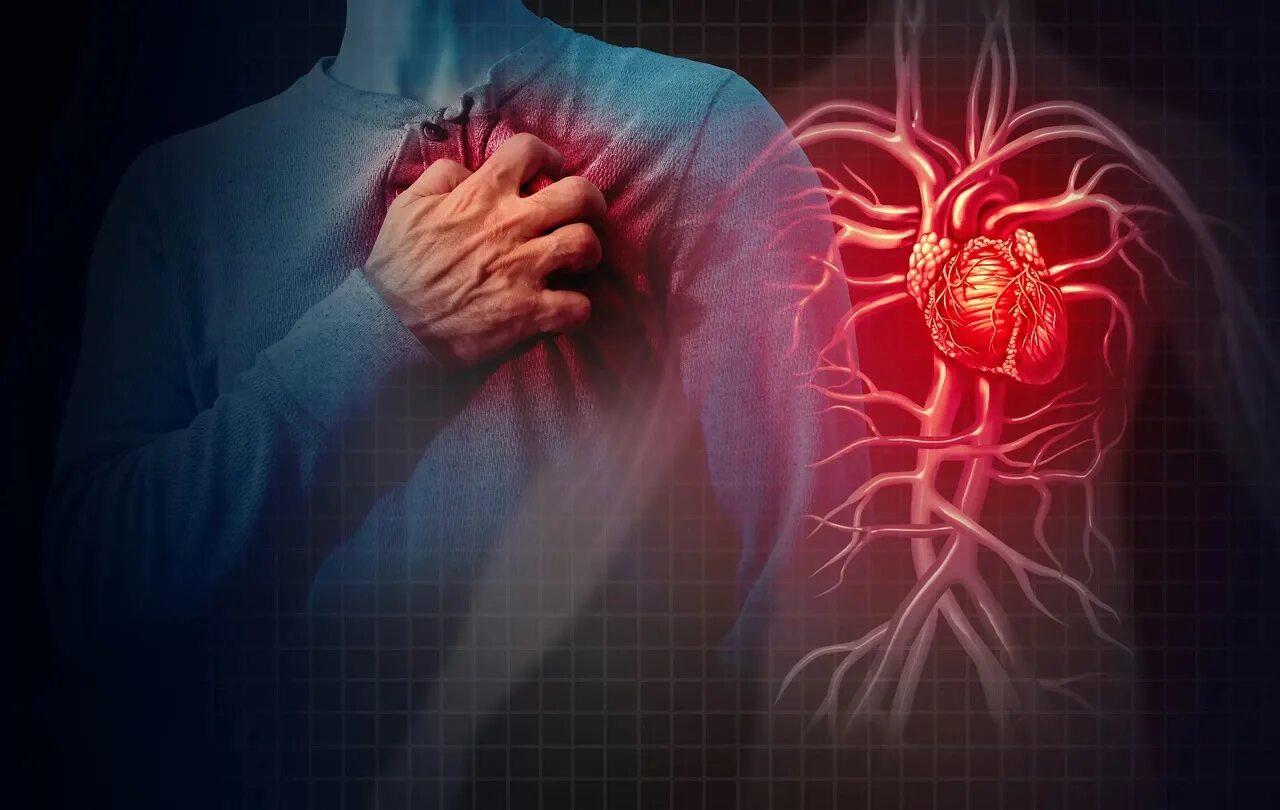 Заболевания сердечной системы. Сердечно-сосудистые заболевания. Патологии сердца и сосудов. Патологии сердечно-сосудистой системы.