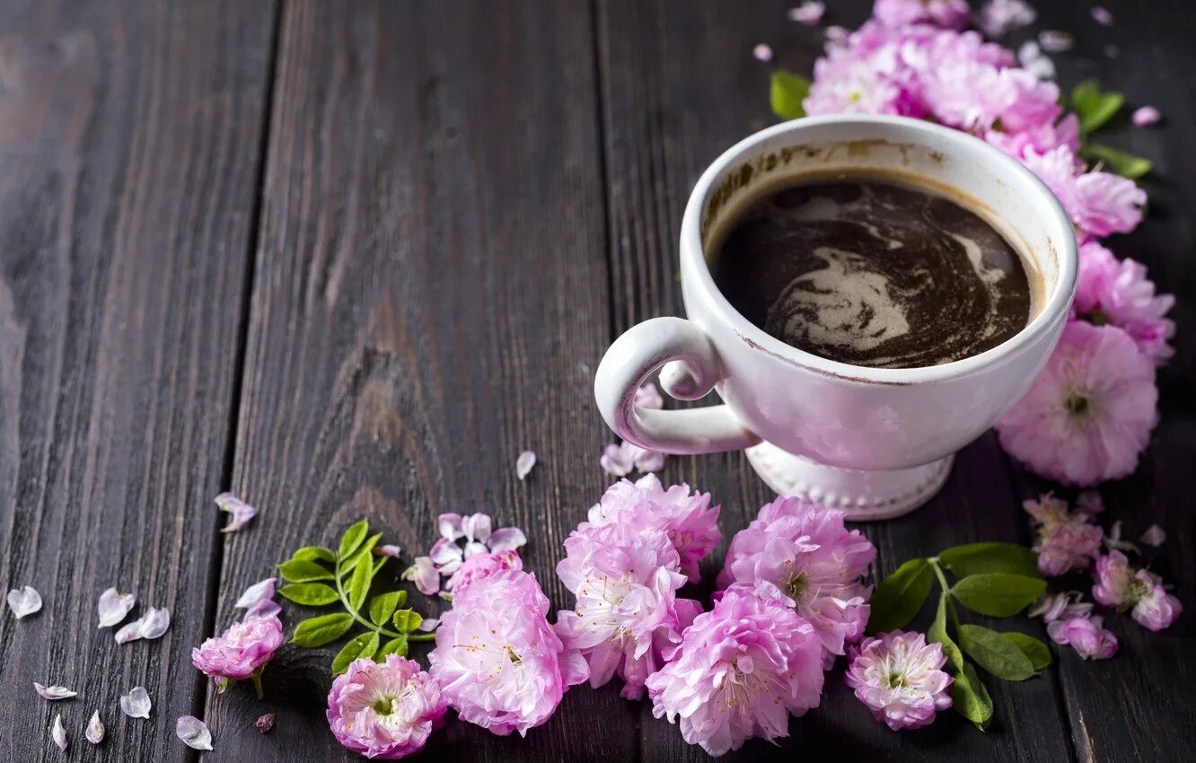 Светы доброе утро. Кофе и цветы. Утренние цветы. Утро кофе цветы. Чашечка кофе и цветы.