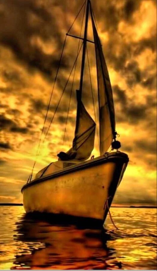 Gold sail