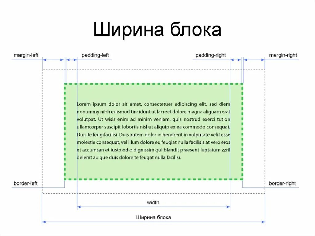 Длинна css. Ширина блока. Размер блока сайта. Размер одного блока сайта. Html размер блока.