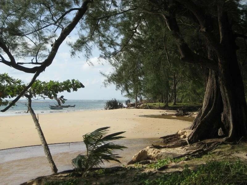 Sirinat national park. Нац парк пхукет. Национальный парк сиринат на пхукете. Sirinat national park phuket. Национальный парк сиринат пхукет.