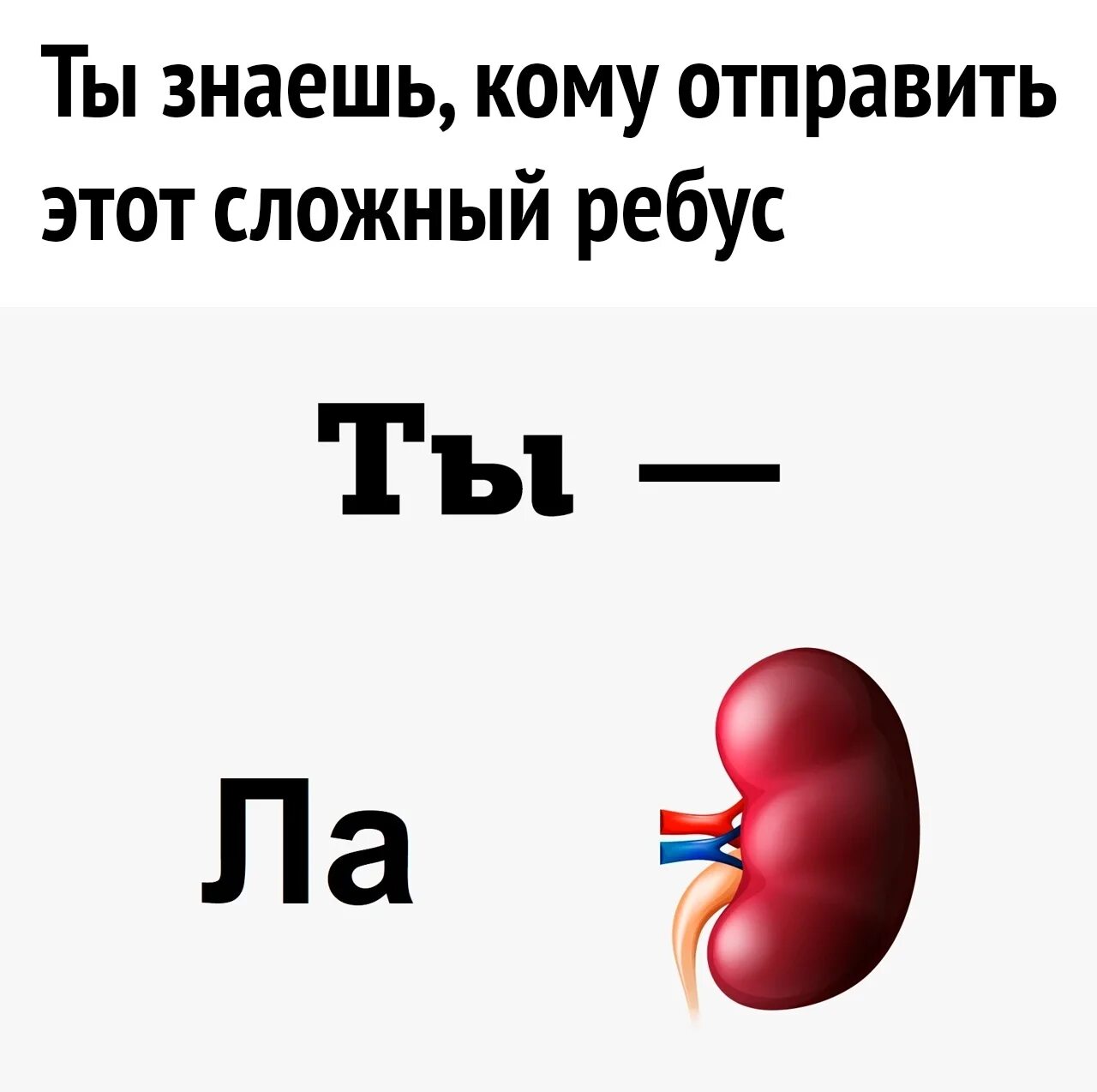 Смешные ребусы. Ребусы сложные. ребус прикол. ребус шутка.