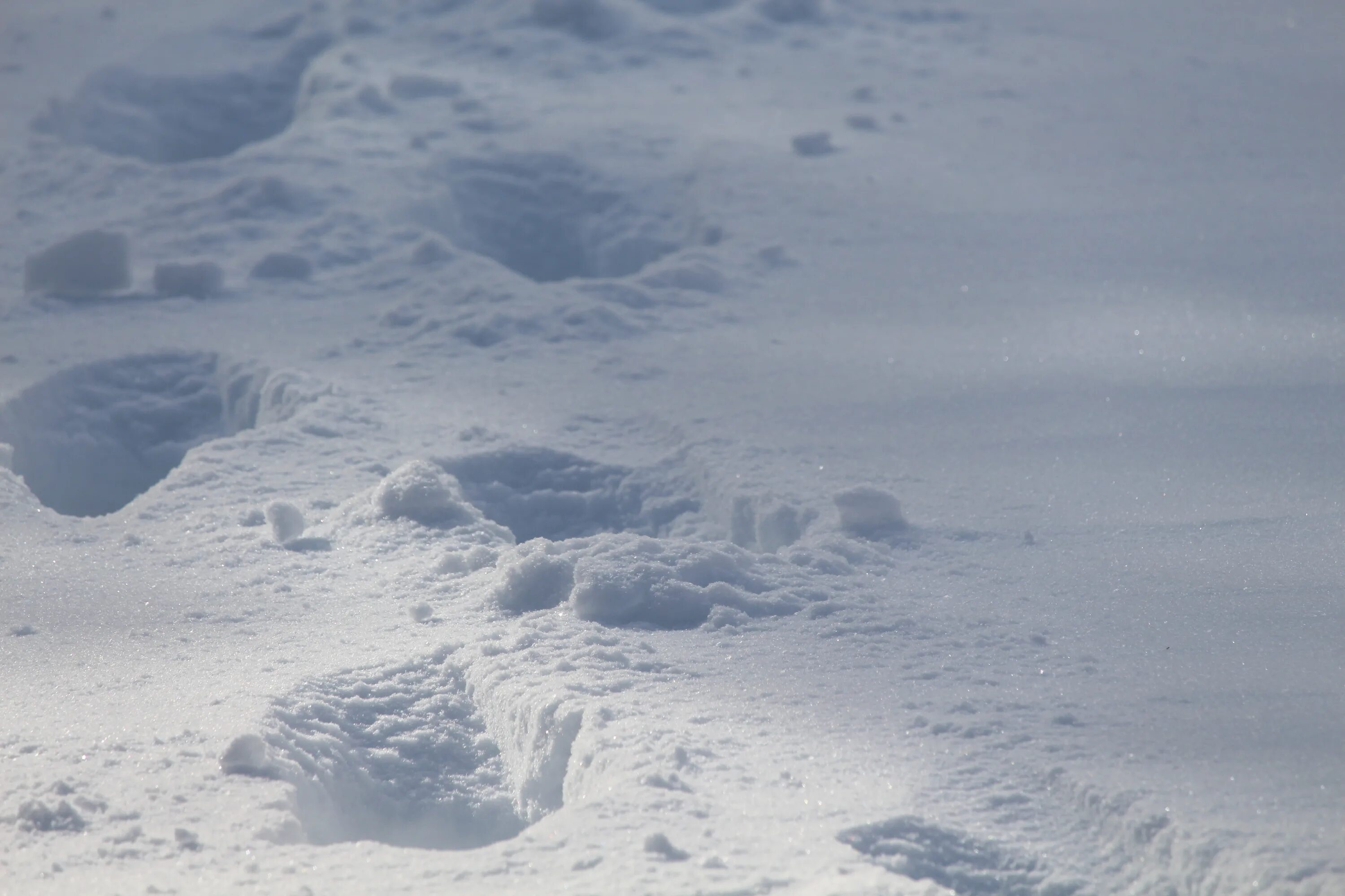 Сильный холод 5. Антарктида снег. Арктика снег. Снег на земле. Пурга в Антарктиде.