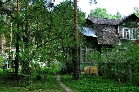 Дачный поселок красково отзывы