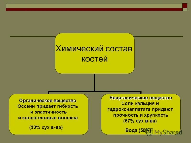 неорганические соединения придают кости. химический состав костей схема. оссеин органическое вещество или неорганическое. оссеин органическое вещество или неорганическое. химический состав кости оссеин.