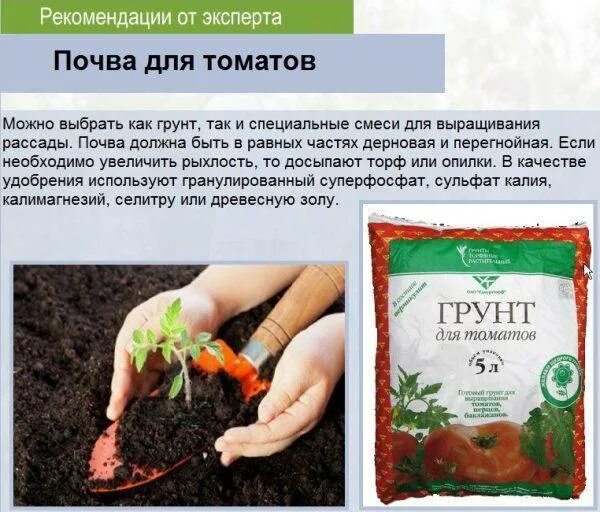 Какой грунт нужен для томатов