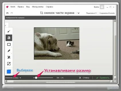 Смена изображений