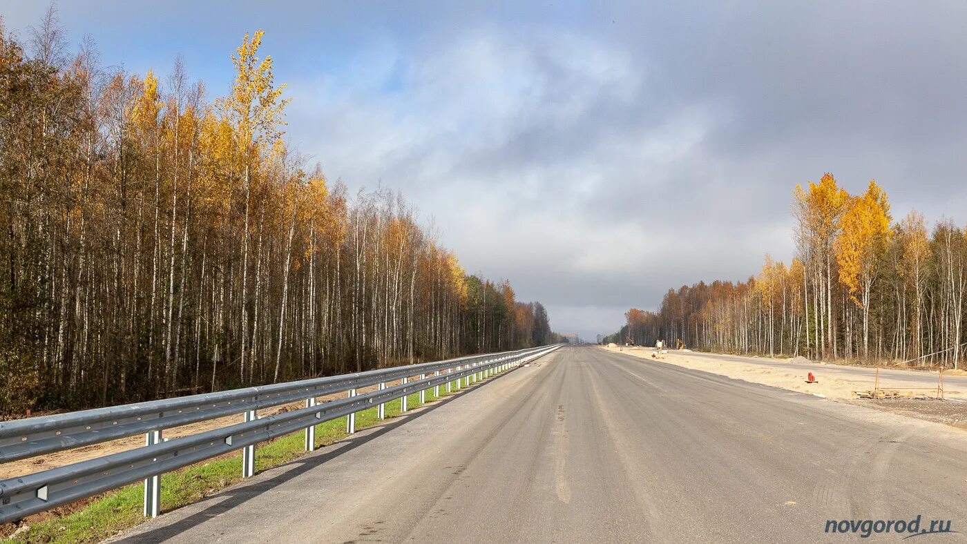 М11 новгородская область. М11 осенью. М11 фото. Фотографии м11 высокое качество. Лес возле трассы м11 фото.