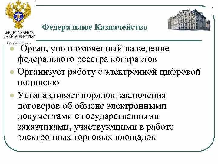 Цели федерального казначейства. Органы уполномоченные на ведение реестра. Реестр федерального казначейства. Отдел ведения федеральных реестров казначейство. Уполномоченный орган это.